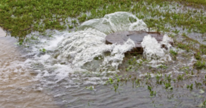 Scarborough and Kippa-Ring Residents Alerted to Wastewater Smoke Testing
